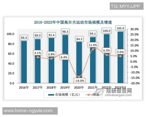 南京羽毛球队的训练节奏与战术解析深度探讨